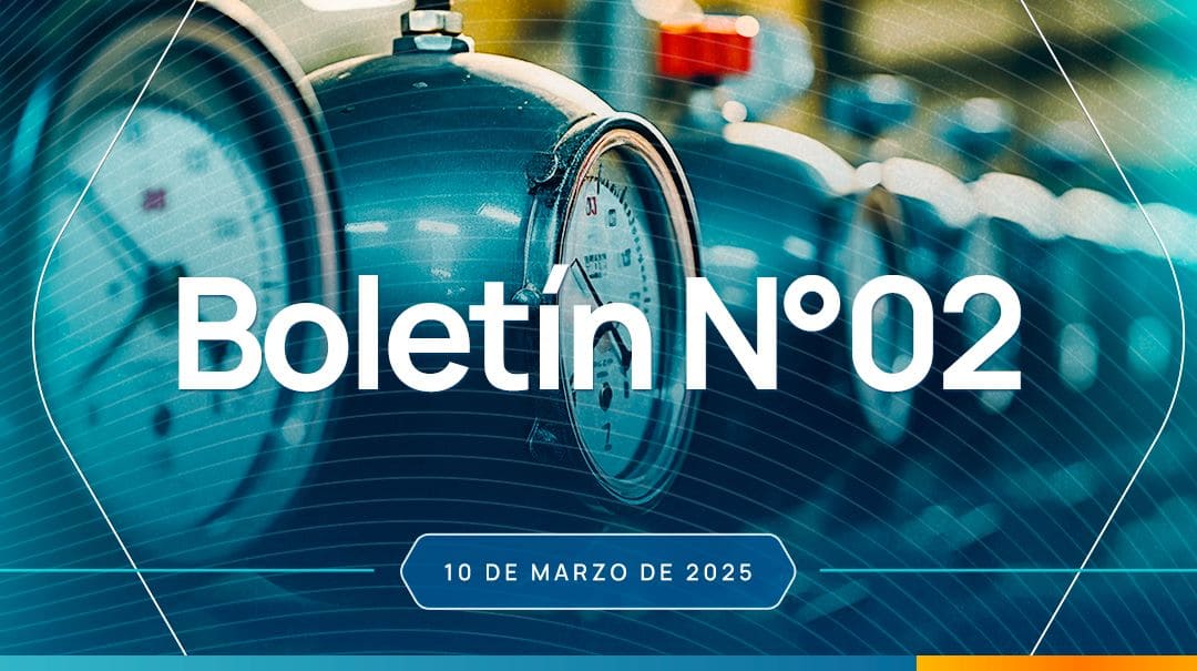 BOLETÍN REGULATORIO No. 02 (10/03/2025)